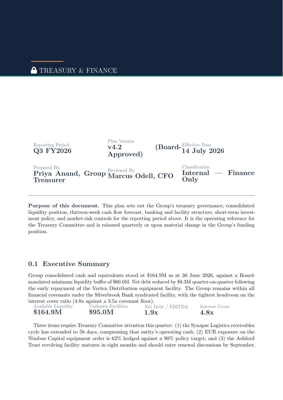 Corporate Treasury & Cash Management Plan preview