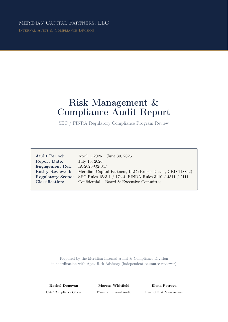 Risk Management & Compliance Audit preview