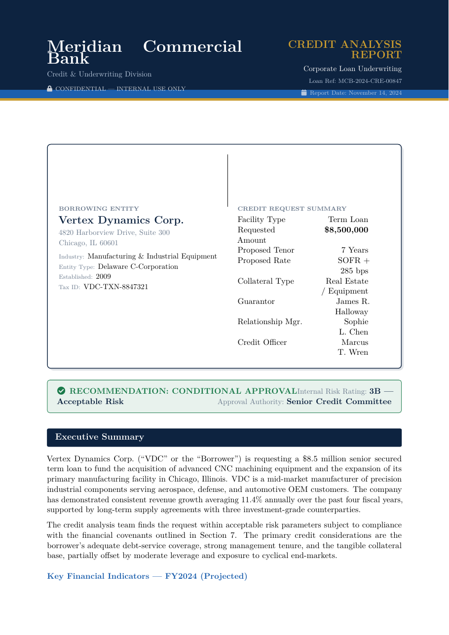 Commercial Credit & Loan Application Report preview