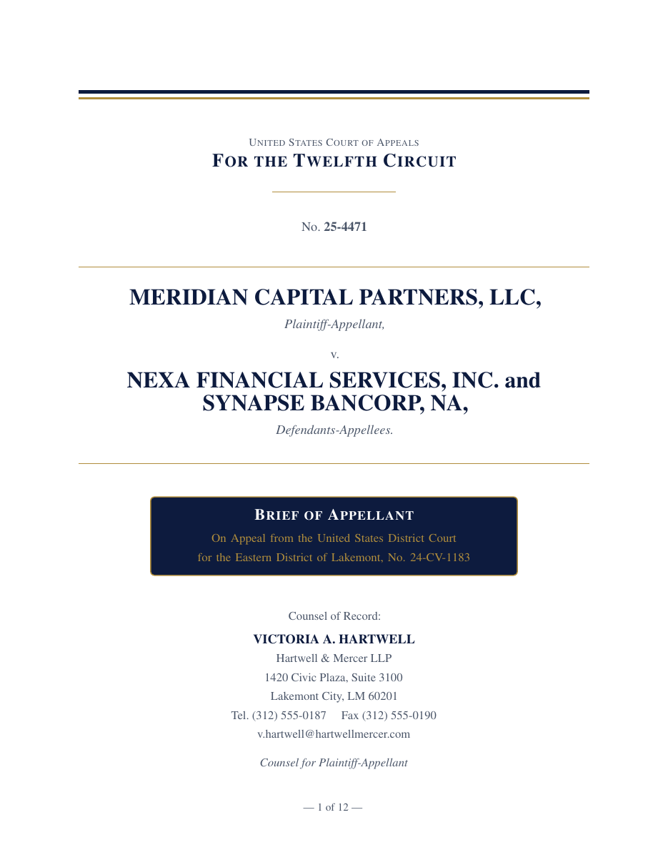 Appellate Brief & Table of Authorities preview