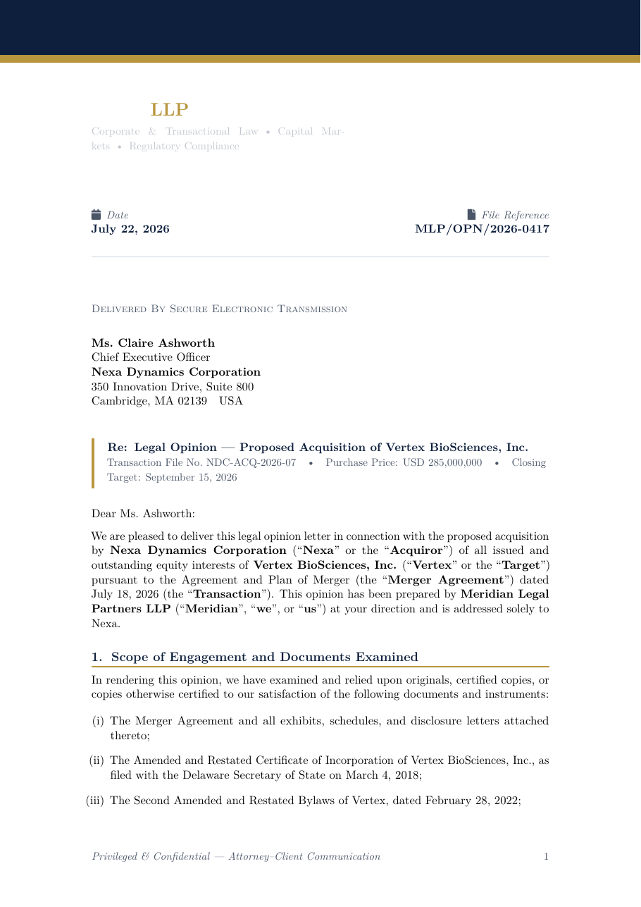 Legal Opinion Letter to Corporate Client preview