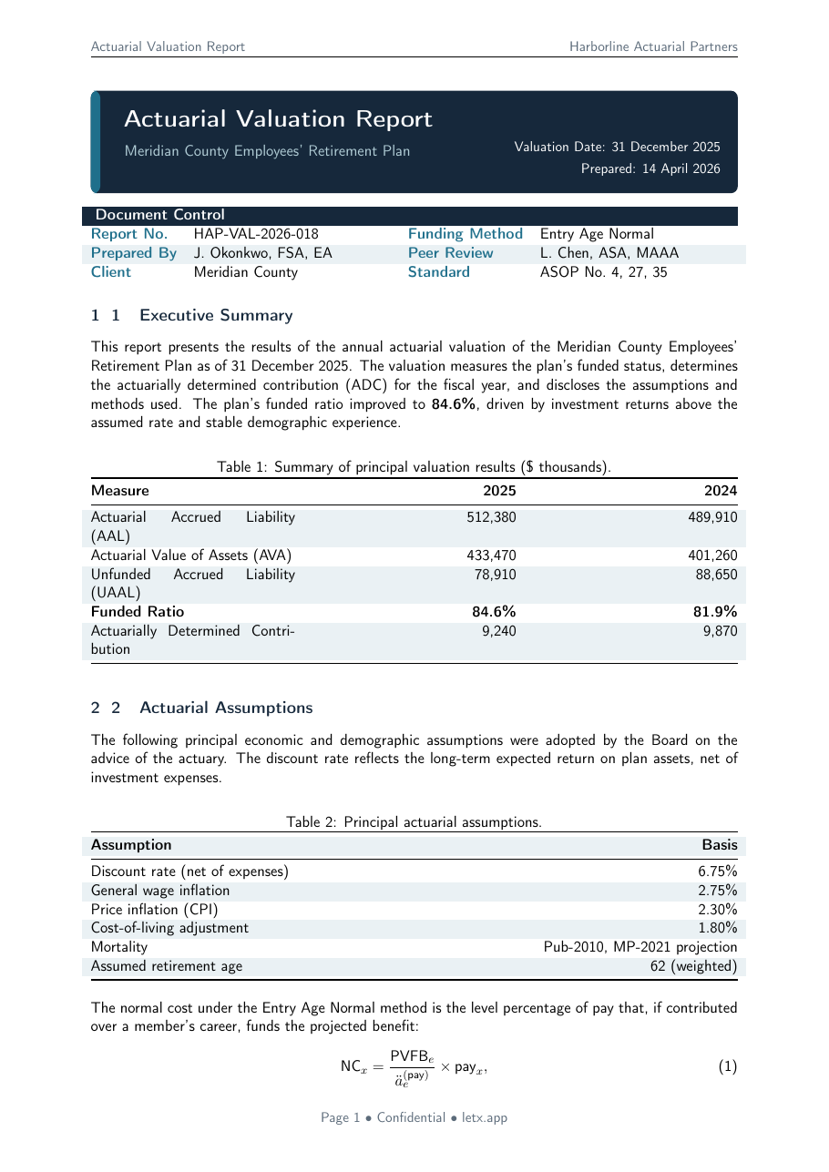 Actuarial Valuation Report preview