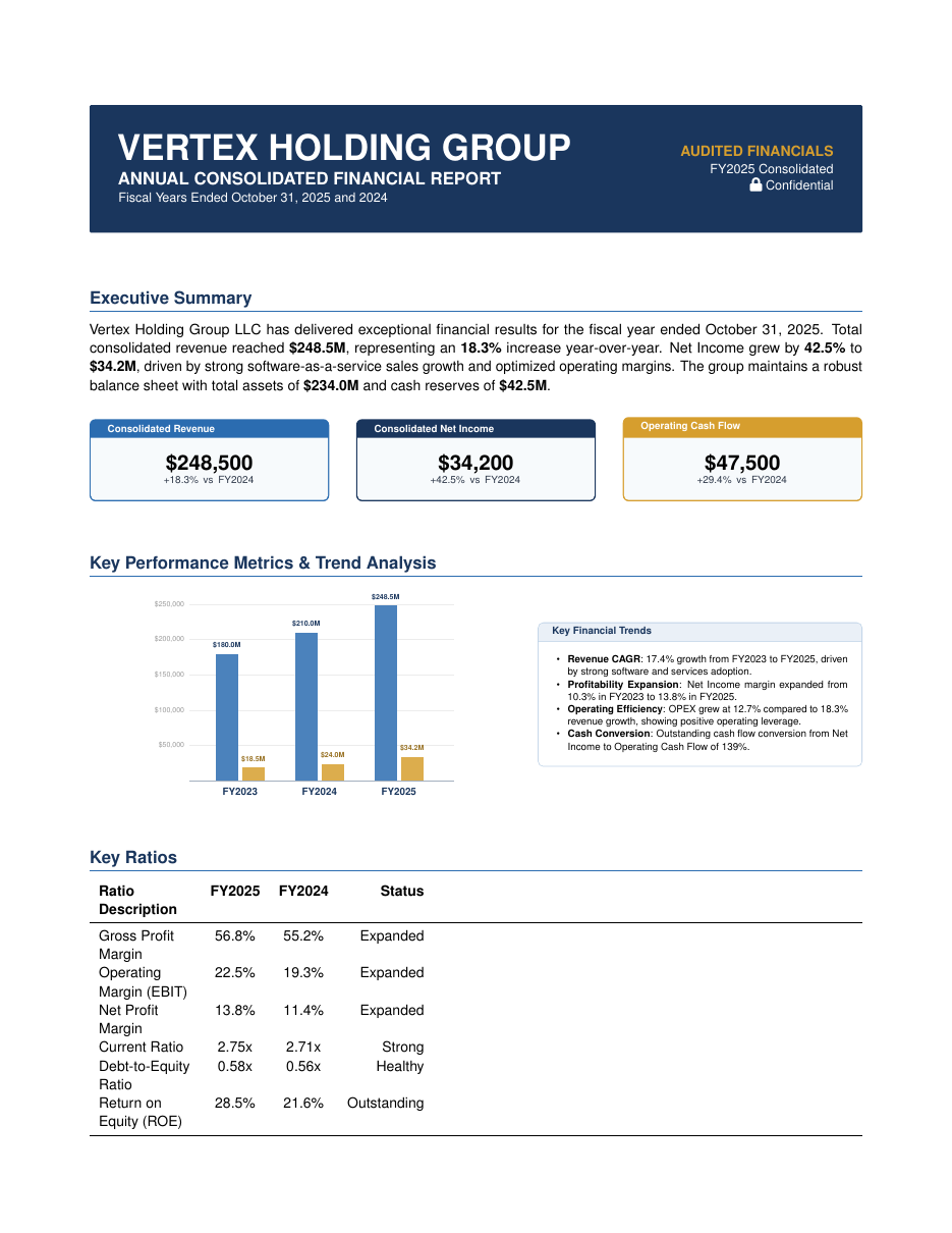 Balance Sheet & Income Statement preview