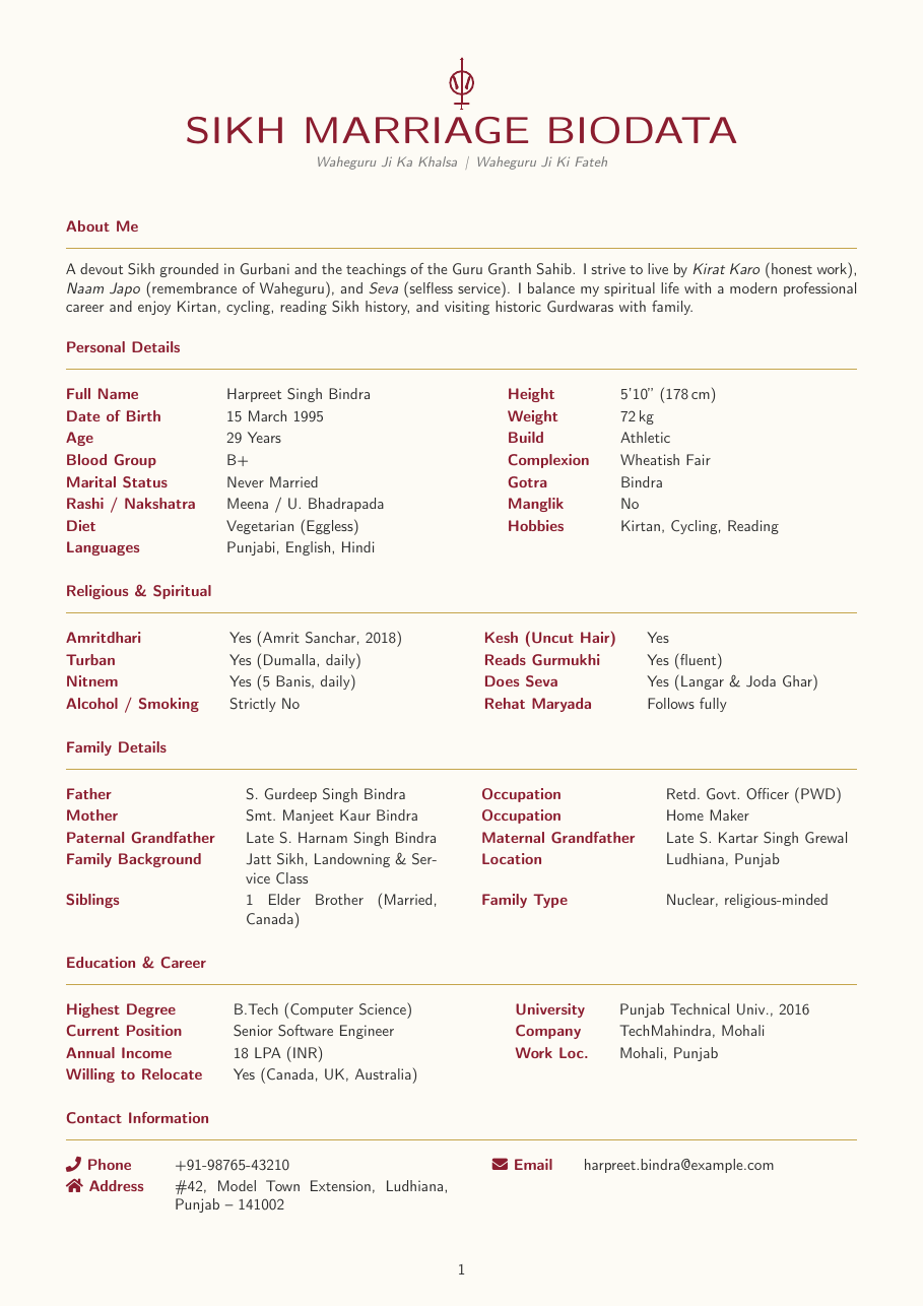 Sikh Marriage Biodata LaTeX template — first page preview