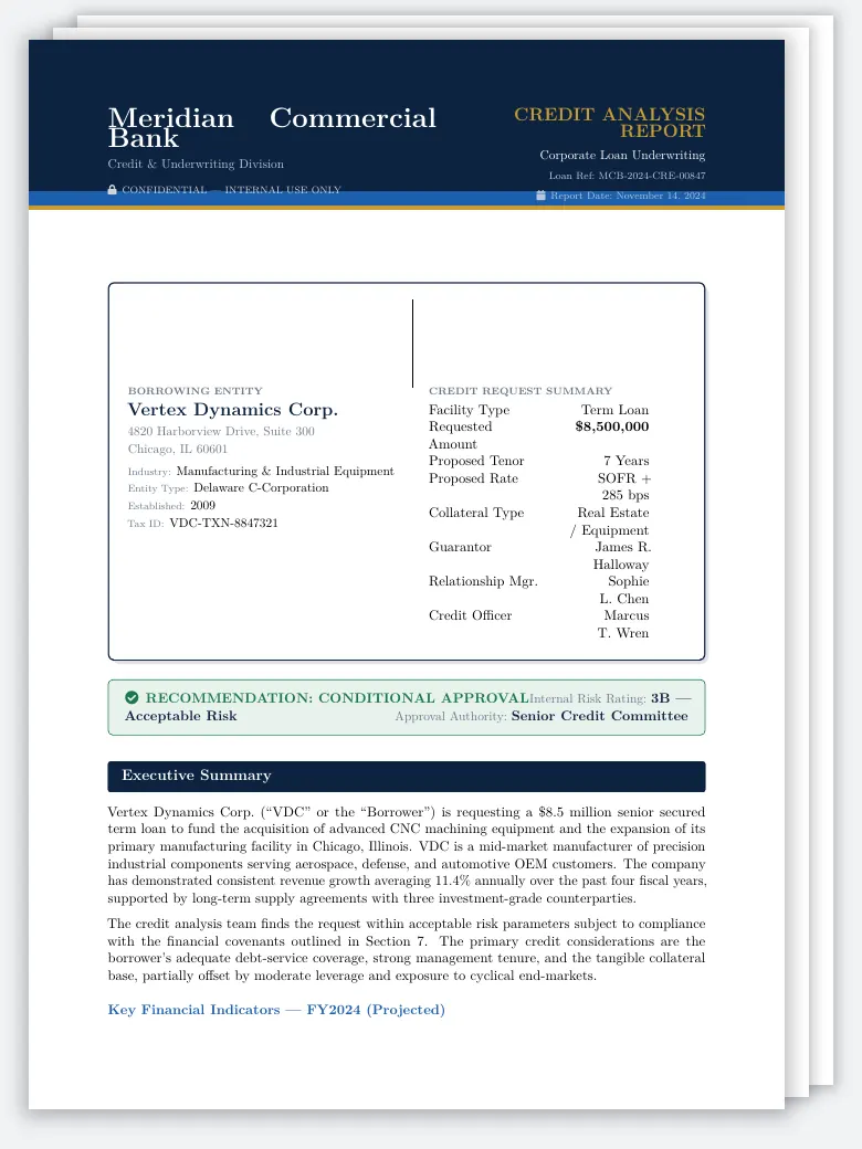 Commercial Credit & Loan Application Report LaTeX template, first page preview