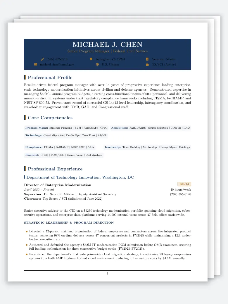 Federal Government Resume preview