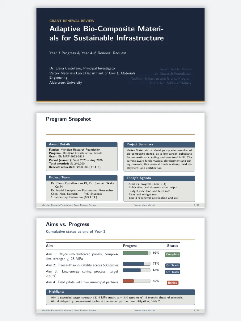 Grant Renewal Progress Slides preview
