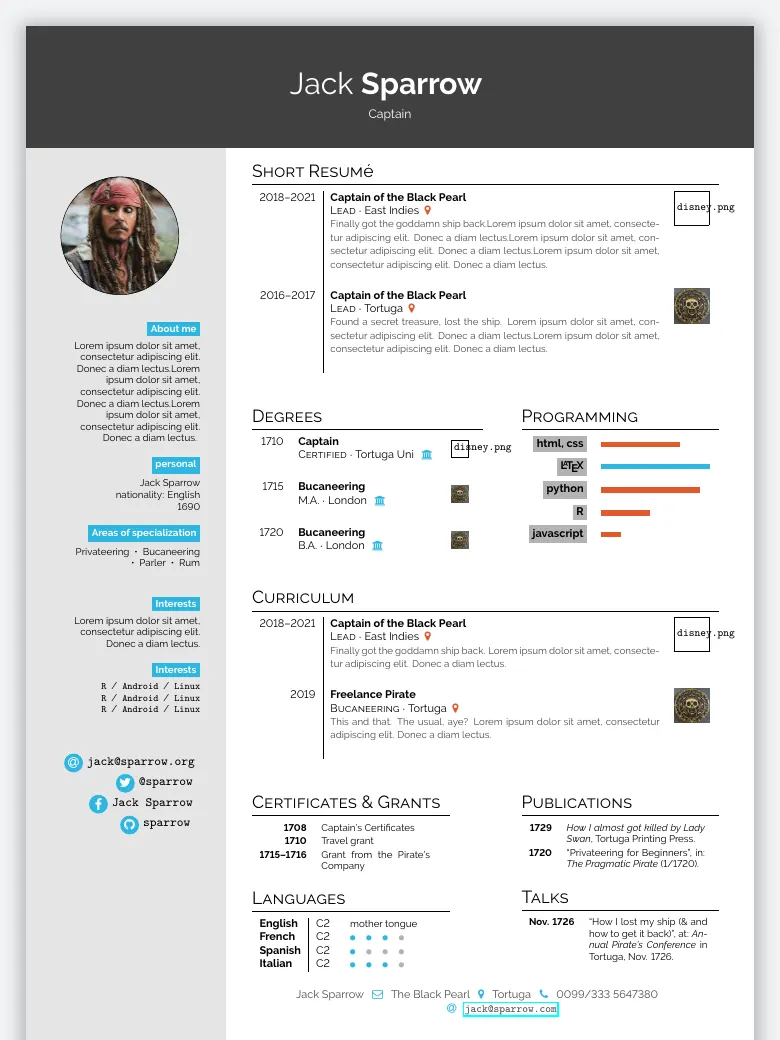 Hipster CV preview