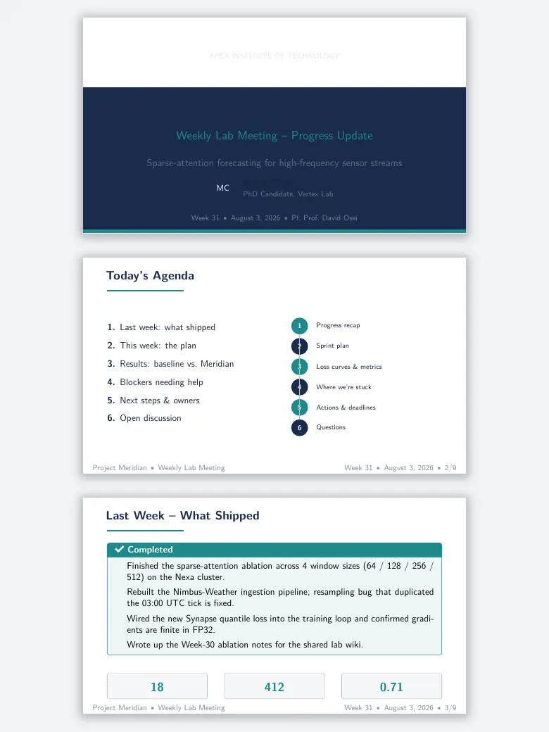 Lab Meeting Progress Slides preview
