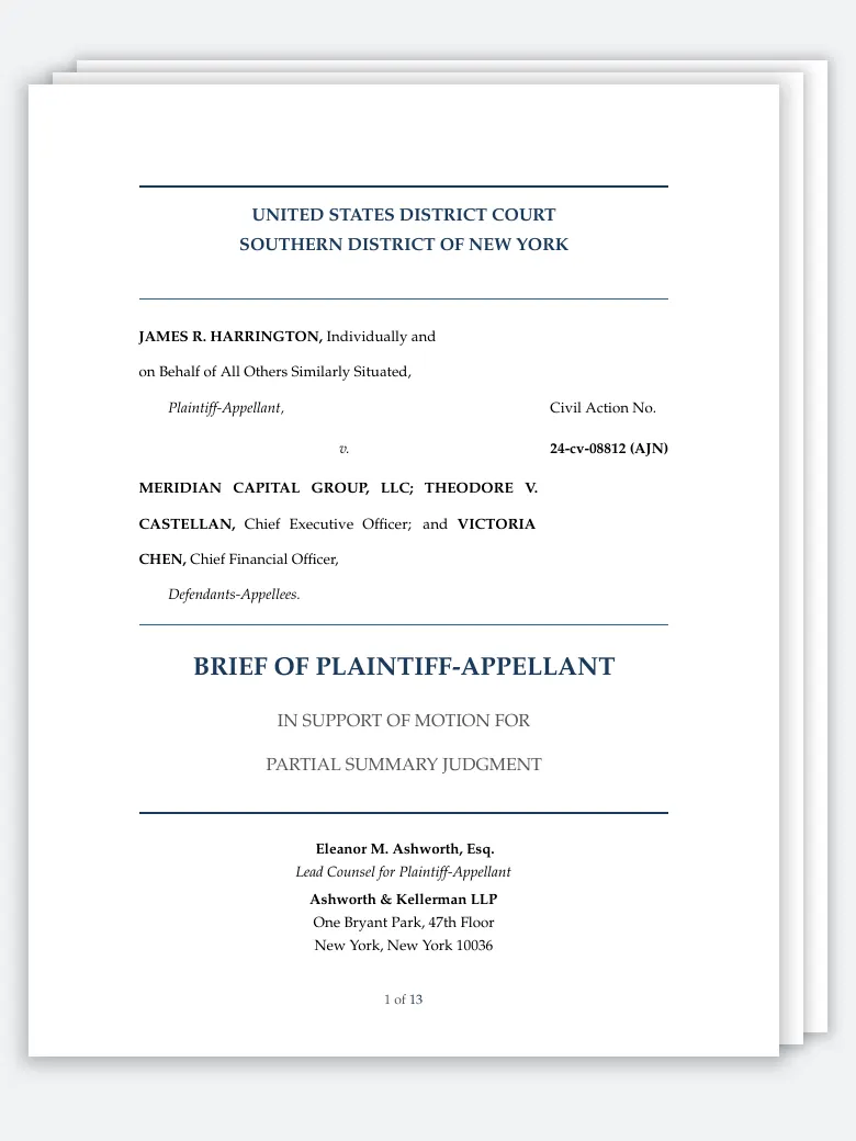 Legal Brief (Litigation) preview