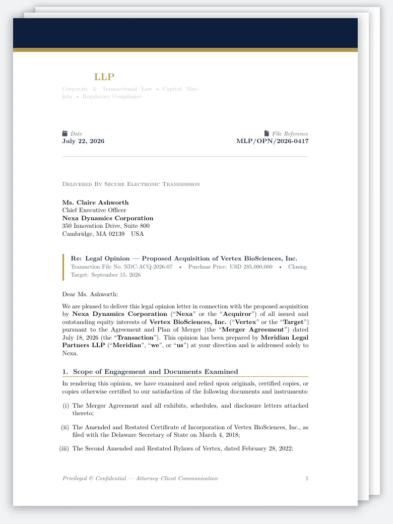 Legal Opinion Letter to Corporate Client LaTeX template, first page preview