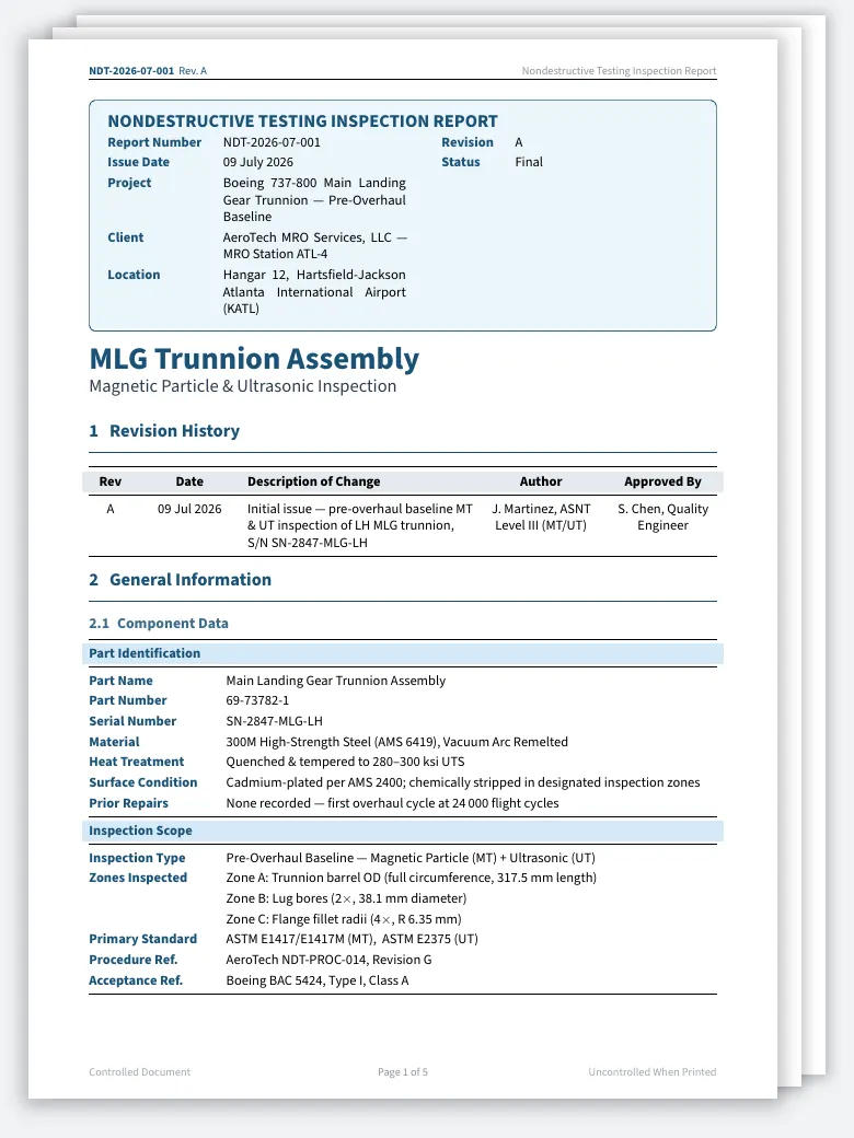 Inspection Report (Nondestructive Testing) preview