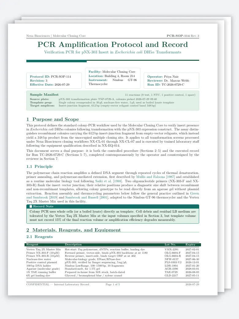 PCR Amplification Protocol and Record preview