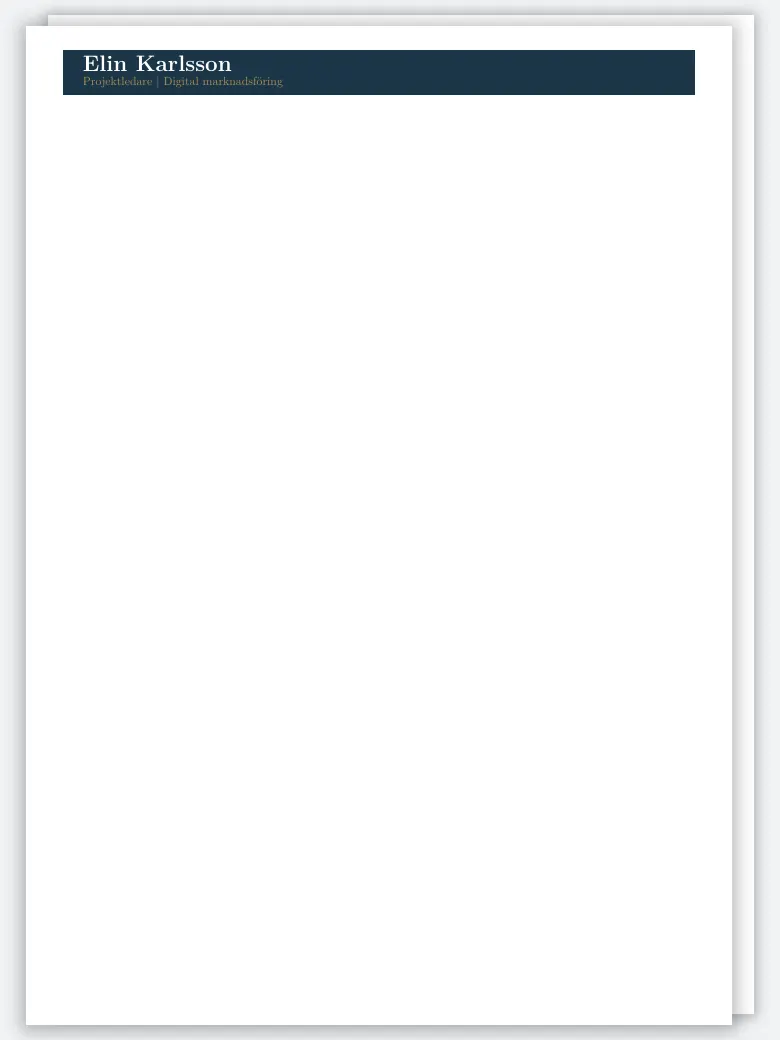 Swedish Meritforteckning CV preview