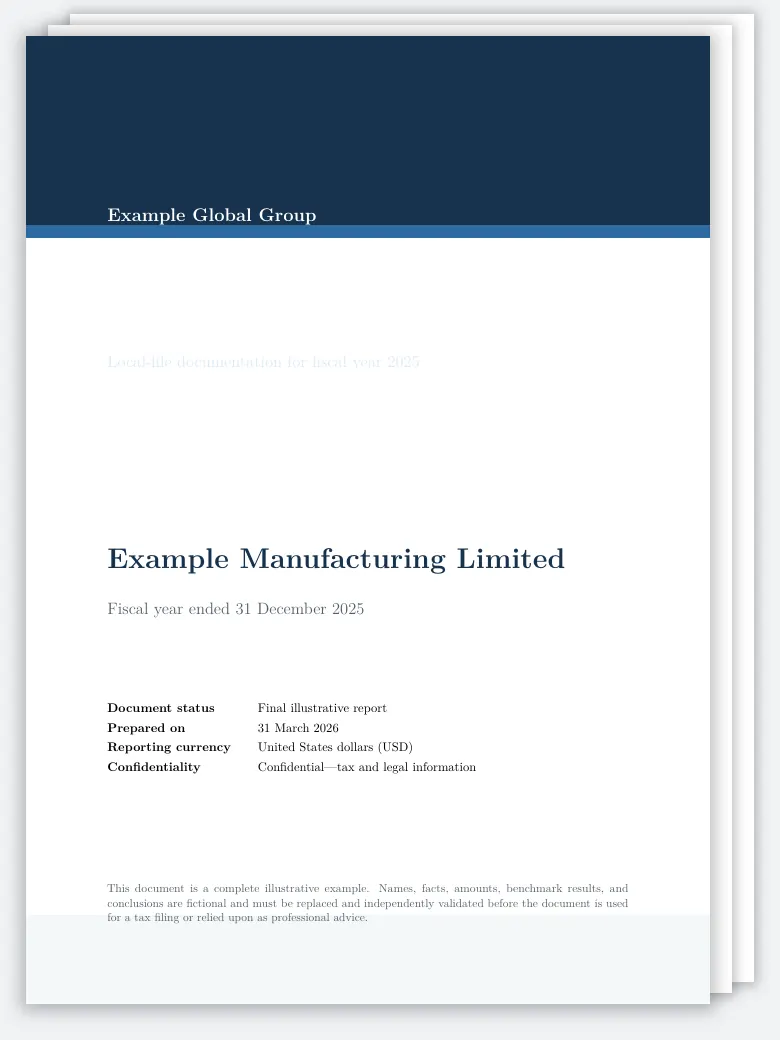 Transfer Pricing Report (OECD Compliant) preview