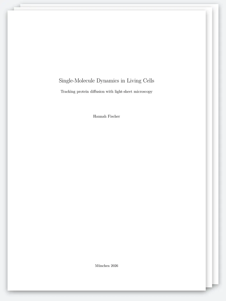 LMU Munich Thesis preview